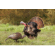 Higdon Outdoors Hard Body Feeder Hen Turkey Decoy, 63122