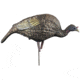 Higdon Outdoors Hard Body Feeder Hen Turkey Decoy, 63122