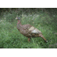 Higdon Outdoors Hard Body Upright Hen Turkey Decoy, 63111