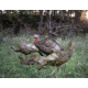 Higdon Outdoors Hard Body Upright Hen Turkey Decoy, 63111