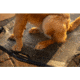 Higdon Outdoors MOmarsh Home Cot Breeze Elevated Pet Bed A31F740A