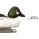Higdon Outdoors Higdon Outdoors Standard Goldeneye Foam Filled Drakes 6pk, 19733