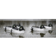Higdon Outdoors Higdon Outdoors Standard Goldeneye Foam Filled Drakes 6pk, 19733