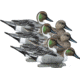 Higdon Outdoors Pintail Foam Filled Floaters Decoy, 6 Pack, Smaller than Lifesize, 19521