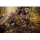 Hunt Comfort Hiker GelCore Hunting Seat, Coyote Brown, 15.25x9x2.5in HCSC15G