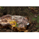 Hunt Comfort Scout Cushion Hunting Seat, Realtree Extra Camo, 15x10.5x2.5in HCSC50G