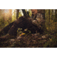 Hunt Comfort Scout Cushion Hunting Seat, Realtree Extra Camo, 15x10.5x2.5in HCSC50G