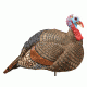 Hunters Specialties 07601 Jake Snood Turkey Decoy