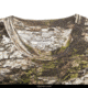 Huntworth Ashland Light Weight Cotton/Poly Short Sleeve Shirt - Men's, Tarnen, Medium, E-943-TRN-M