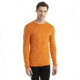 Icebreaker 260 Tech Long Sleeve Crewe Thermal Top - Mens, Earth, Small, IB104371865S