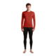 Icebreaker Merino 260 Tech Long Sleeve Crewe Thermal Top - Mens