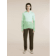 Icebreaker Merino Blend 200 RealFleece Descender Long Sleeve Zip Hoodie - Womens
