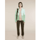 Icebreaker Merino Blend 200 RealFleece Descender Long Sleeve Zip Hoodie - Womens