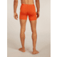 Icebreaker Merino 150 Anatomica Boxers wFly - Mens, Fervid, Large, IB1030300GTL