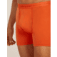 Icebreaker Merino 150 Anatomica Boxers wFly - Mens, Fervid, Large, IB1030300GTL