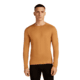 Icebreaker Merino 260 Tech Long Sleeve Crew Thermal Top - Mens, Trail, Large, IB1043710GRL