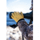 Kryptek Ranch Glove, Tan, XL, 19KRATN6