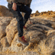 Danner Panorama Mid 6in Pinecone Brown/Bossa Nova - Mens, Pinecone Brown/Bossa Nova, 11, 63439-D-11