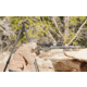 Leofoto Juggernaut S2 2-Section Precision Shooting Tripod Kit