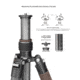 Leofoto LX-284CT/XB-38 Reversible Travel Tripod w/ Ball Head Set, Black, LX-284CT+XB-38