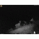 Leupold 8 Megapixel RCX-1 Trail Camera Sample Image