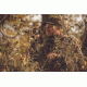 Leupold RX-650 Laser Rangefinder,Black 120464