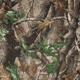 Liberty Mountain Camo Green Bandana 8B105