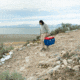 Lifetime Products 28 Quart Heavy-Duty Hard Cooler