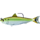 Live Target Blueback Herring Swimbait