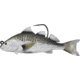 Live Target Croaker Swimbait