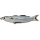 Live Target Mullet Hollow Body Topwater Lure, 6/0 SW Hooks, Floating, Silver, 1/2oz, 4-1/2in, MUH115T716