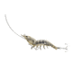 Live Target Shrimp Hybrid Bait,clear shrimp,#4,#2 SSH100SK919