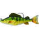 Live Target Yellow Perch Swimbait