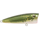 Livingston Lures Walk N Pop 67 Lure, Baby Bass, 5301