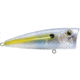 Livingston Lures Walk N Pop 67 Lure, Beauty Shad, 5302