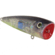 Livingston Lures Walk N Pop 67 Lure, Bluetreuse, 5315