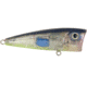 Livingston Lures Walk N Pop 67 Lure, Bluetreuse, 5315