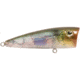 Livingston Lures Walk N Pop 67 Lure, Ghost Gizzard Shad, 5339
