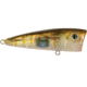 Livingston Lures Walk N Pop 67 Lure, True Bream, 5335