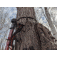 Loc Outdoorz Pro Huntr Treestand/Camera Belts