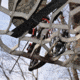 Lone Wolf Treestands Wide Flip Top Combo Tree Stand, Gray WFTC