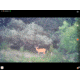 Longshot by Target Vision Hawk Smart Spotting Scopes Camera, TV-CF301