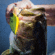 Lunkerhunt Impact Reactor Bait, Turbo, 2.5in &amp; 1/2 oz, IMRLLC01