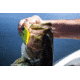 Lunkerhunt Impact Reactor Bait, Turbo, 2.5in &amp; 1/2 oz, IMRLLC01