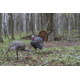 MAD Spin-N Strut Turkey Decoy, Brown, MD-735