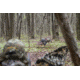 MAD Spin-N Strut Turkey Decoy, Brown, MD-735