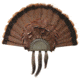 MAD Turkey Fan Plaque Black, Black MD-3660