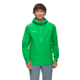 Mammut Alto Light HS Hooded Jacket - Mens, Pinea, S, 1010-30660-40306-113