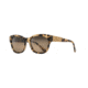 Maui Jim Monstera Leaf Sunglasses, Honey Havana with Yellow Gold Monstera Frame, HCL Bronze Lens, HS747-21B
