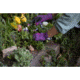 Mechanix Wear Ethel Garden Leopard Gloves - Womens, Purple, Small, ETH-LP39-510
